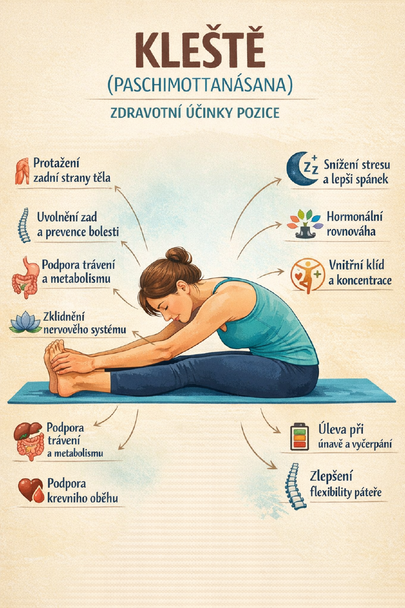 Kleště (Paschimottanásana) – hluboký předklon v sedu