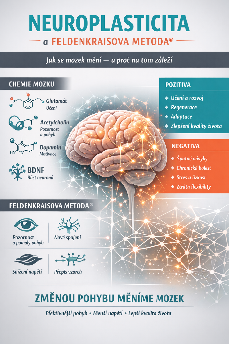 Neuroplasticita: jak se mozek mění – a proč na tom záleží